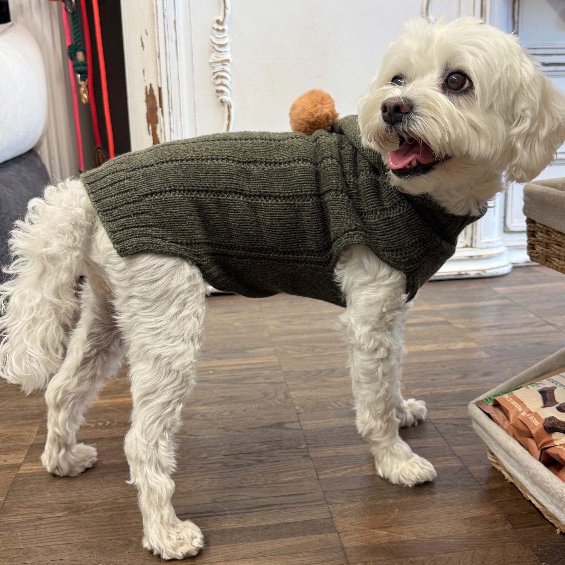 hunde cashmere olive mit ponpon – Bild 6