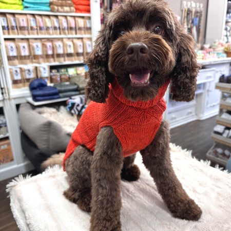 hunde cashmere sweater hermes orange – Bild 3