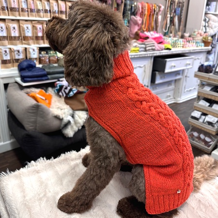 hunde cashmere sweater hermes orange – Bild 4