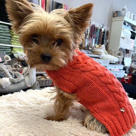 hunde cashmere sweater hermes orange – Bild 8