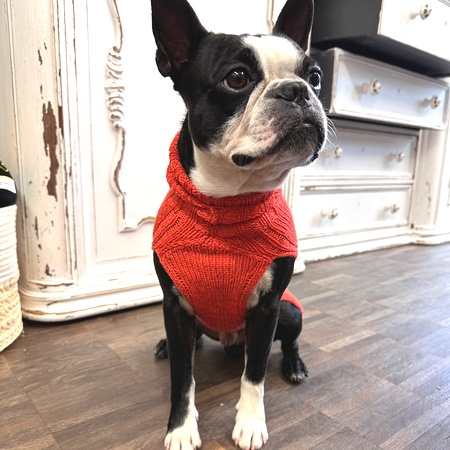 hunde cashmere sweater hermes orange – Bild 6