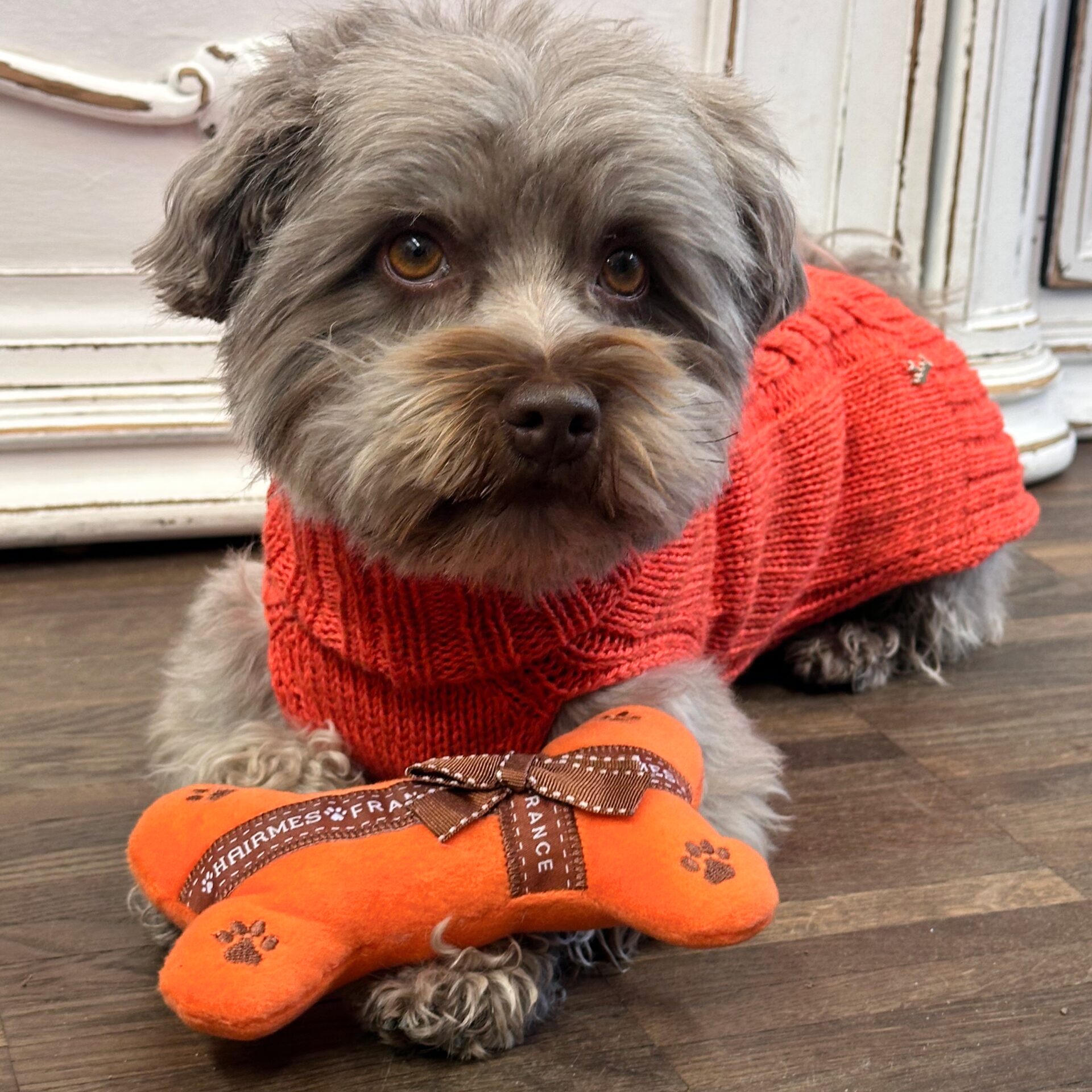 hunde cashmere sweater hermes orange – Bild 7