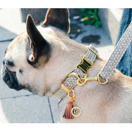 hundehalsband signature – Bild 3