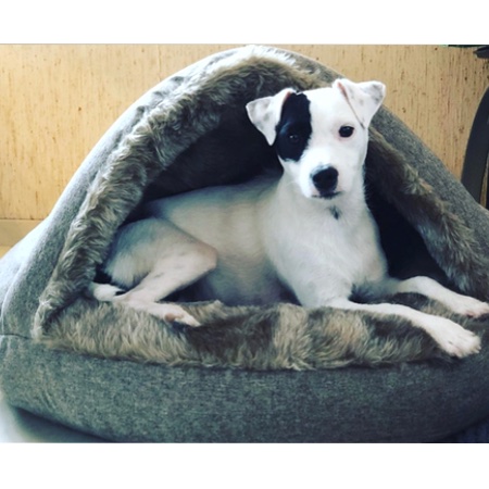 luxury kuschelhöhle anthrazitgrau – Bild 3