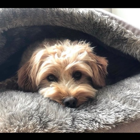 luxury kuschelhöhle anthrazitgrau – Bild 7