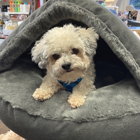 luxury kuschelhöhle anthrazitgrau – Bild 8