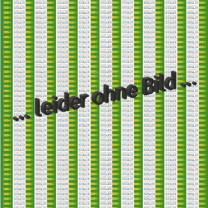 Schaldämpfer    Claas Jaguar