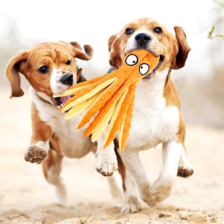 oli der raschel pulpo – Bild 2