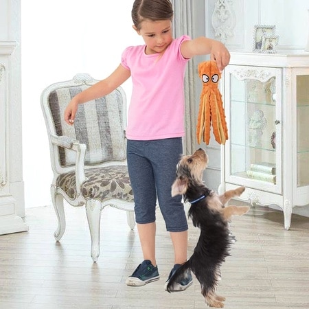 oli der raschel pulpo – Bild 4