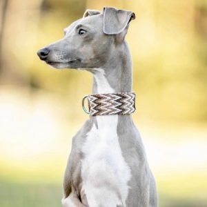 peruvian brown hundehalsband