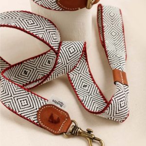 peruvian hundehalsband party day