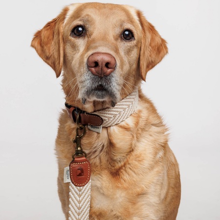 peruvian hundehalsband sand – Bild 4