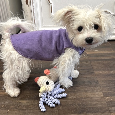 goldpaw stretch fleece lavendel – Bild 3