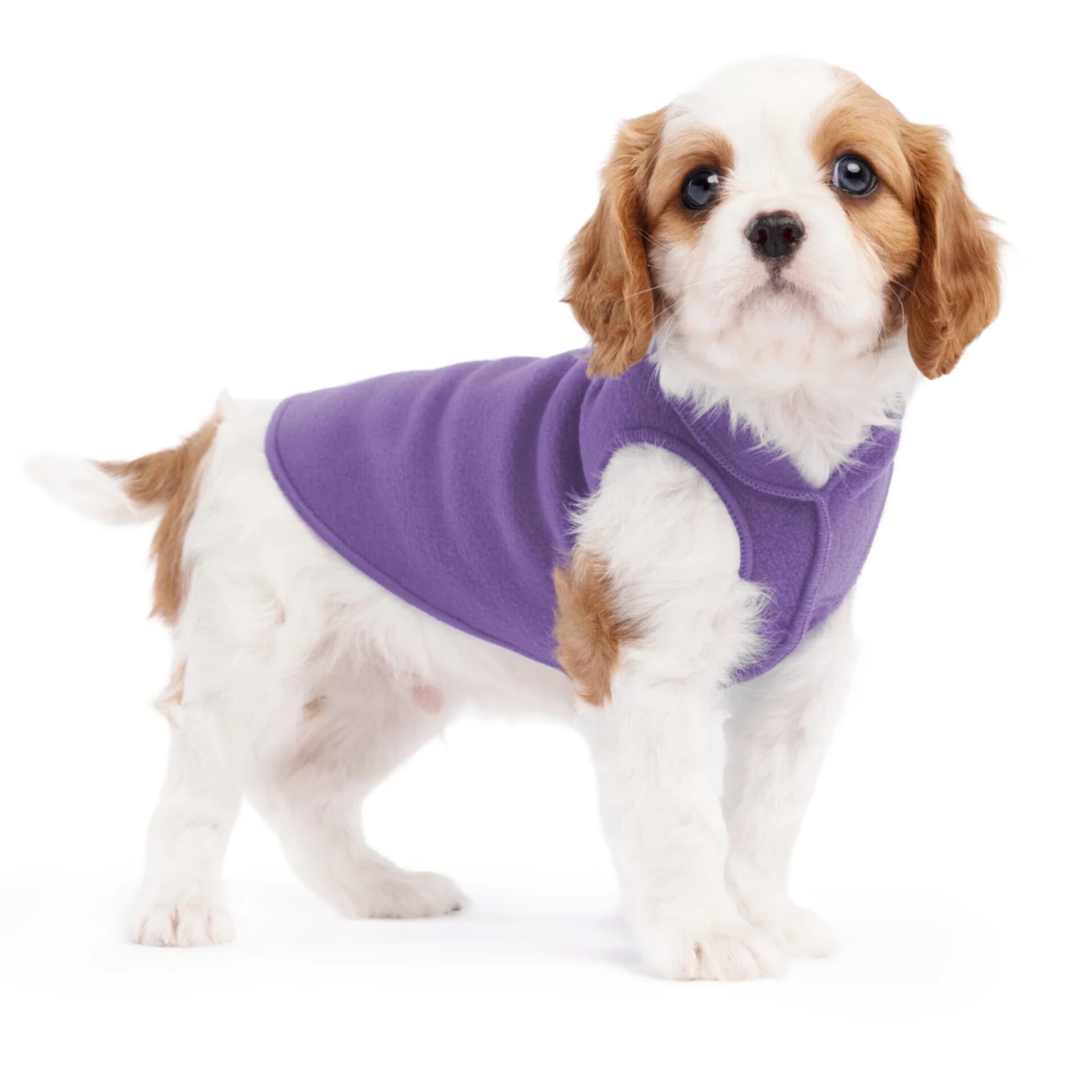 goldpaw stretch fleece lavendel