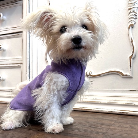 goldpaw stretch fleece lavendel – Bild 4