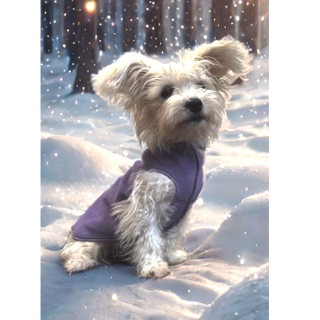 goldpaw stretch fleece lavendel – Bild 5