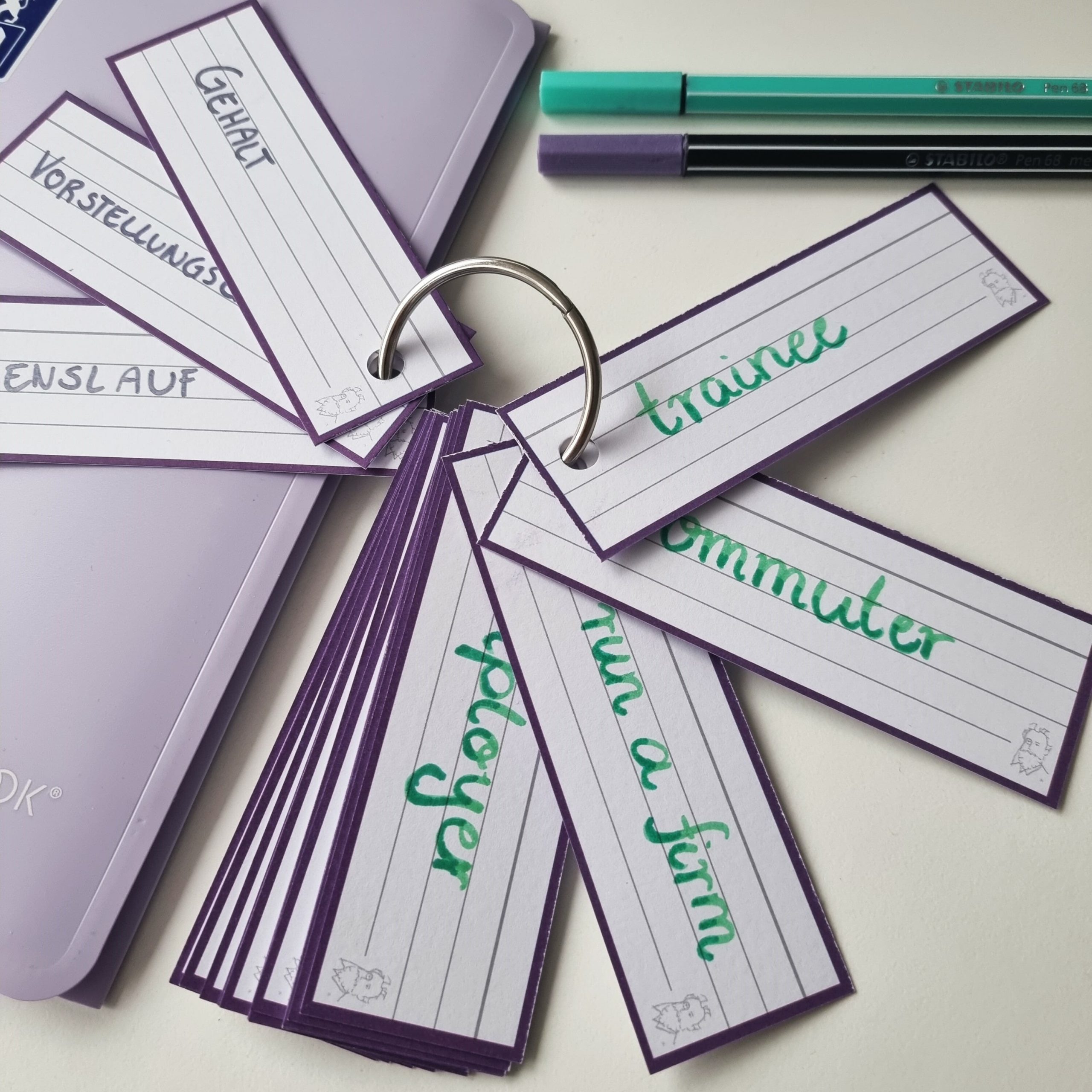 Leitner Flashcards Karteikarten Alle Kollektionen 1000 Vokabelkarten – Bild 8