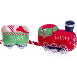 xmas santa paws express