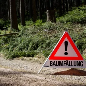 Warnpyramide, Faltsignal, schwer, Beschriftung: Baumfällung, Zeichen: Ausrufezeichen (VZ101), Seitenlänge 90 cm, tagesleuchtend weiß